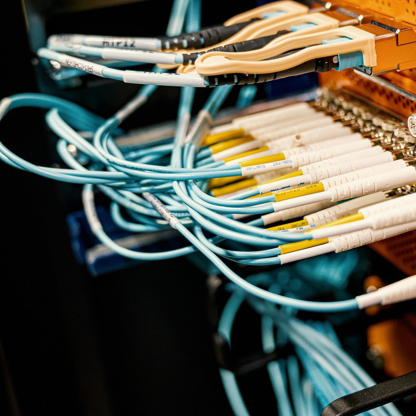 Pexels Photo 4508748 4508748 Scaled E1767534696473